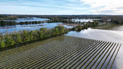 La Charente en crue à Bassac (Charente), le 8 novembre 2023. (RENAUD JOUBERT / MAXPPP)