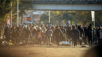 Des migrants courent pour franchir la fronti&egrave;re entre la Slov&eacute;nie et l'Autriche, &agrave; Sentilj (Slov&eacute;nie), le 3 novembre 2015. (RENE GOMOLJ / AFP)