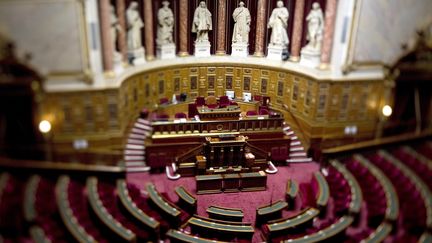 Affrontements politiques en perspective dans l'h&eacute;micycle du S&eacute;nat, qui examine une proposition de loi sur le droit de vote des &eacute;trangers non communautaires aux municipales, jeudi 7 d&eacute;cembre 2011.&nbsp; (JOEL SAGET / AFP)