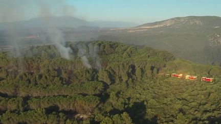 Mardi 28 juin, plus de 1 000 hectares de végétation ont brûlé dans les Pyrénées-Orientales. Le feu s'est propagé à travers les communes de&nbsp;Salses-le-Château et d'Opoul-Périllos.&nbsp; (CAPTURE ECRAN FRANCE 3)