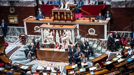 L'Assemblée Nationale, le 11 juillet 2023. (XOSE BOUZAS / HANS LUCAS)