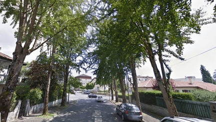 Les ginkgos bilobas de la rue Henri-d'Albret, sur Google Streetview, en juin 2014. (GOOGLE STREETVIEW)