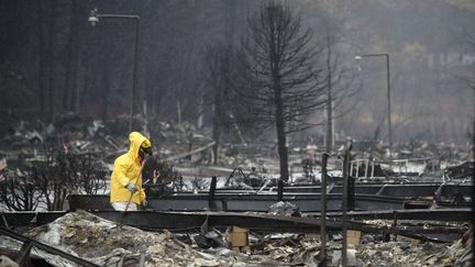 Un membre des équipes de secours recherche des restes humains dans la ville de Paradise, en Californie (Etats-Unis), le 21 novembre 2018, après le passage dévastateur de l'incendie "Camp Fire".&nbsp; (JUSTIN SULLIVAN / GETTY IMAGES NORTH AMERICA / AFP)