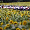 Le peloton du Tour lors de la 14e étape entre Carcassone et Quillan, le 10 juillet 2021. (THOMAS SAMSON / AFP)