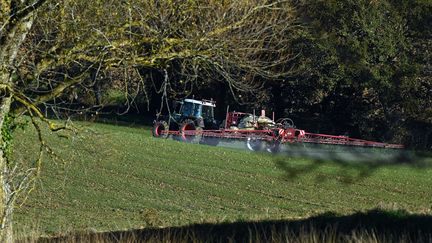 Un agriculteur disperse des pesticides ou produit phytosanitaire sur une culture, le 17 novembre 2020. Photo d'illustration. (DENISE ROSSANO / MAXPPP)