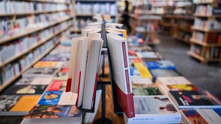 La rentrée littéraire dans la librairie Bifurcations, à Bourges, le 28 août 2024. (PIERRICK DELOBELLE / PHOTOPQR / BERRY REPUBLICAIN / MAXPPP)