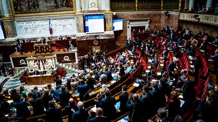 En cas d’adoption du projet de réforme des retraites, la gauche souhaite déguainer le référendum d’initiative partagée. Dans quelle mesure peut-il être appliqué ? Éléments de réponse avec la journaliste Caroline Motte, sur le plateau du 12/13. (AMAURY CORNU / HANS LUCAS / AFP)