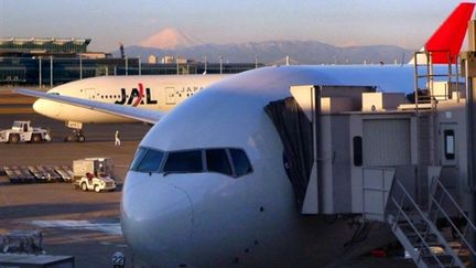 Des avions de la JAL, sur l'aéroport de Tokyo Haneda, le 15/01/2010 (AFP/Kazuhiro Nogi)