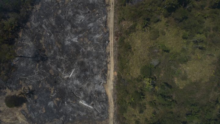 Vue aérienne d'une zone brûlée dans la forêt amazonienne, dans la commune de Novo Progresso, dans le nord du Brésil, le 15 août 2020. (FERNANDO SOUZA / AGIF / AFP)