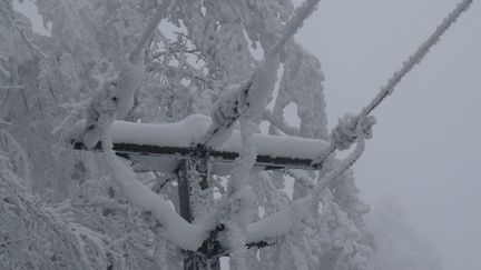 Une ligne électrique sous la neige (photo d'illustration). (VINCENT PILLET / RADIO FRANCE)