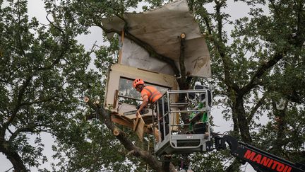 Un ouvrier démantèle l'abri d'un opposant sur le chantier de l'A69 dans un arbre, à Saix, dans le Tarn, le 1er septembre 2024. (ED JONES / AFP)