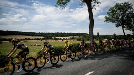 Les coureuses lors de la 5e étape, entre&nbsp;Bar-le-Duc et Saint-Dié-des-Vosges. (JEFF PACHOUD / AFP)