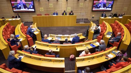 Une audition menée par la commission spéciale bioéthique au sein du Sénat, le 30 octobre 2019 à Paris.&nbsp; (CARINE SCHMITT / HANS LUCAS / AFP)