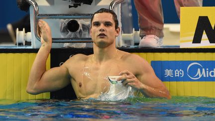 Florent Manaudou participe aux Mondiaux de natation en petit bassin, le 5 d&eacute;cembre 2014, &agrave; Doha (Qatar). (STEPHANE KEMPINAIRE / DPPI MEDIA / AFP)