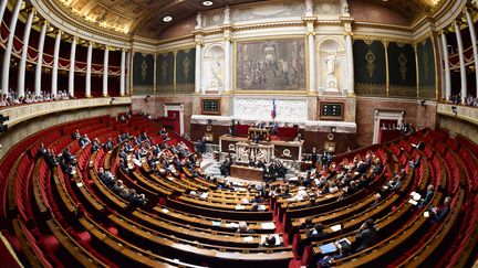 Des d&eacute;put&eacute;s dans l'h&eacute;micycle de l'Assembl&eacute;e nationale, &agrave; Paris, le 28 juin 2015. (BERTRAND GUAY / AFP)