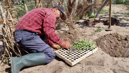 Ali Garci dans son exploitation agricole,&nbsp;en mai 2022.&nbsp; (LILIA BLAISE)