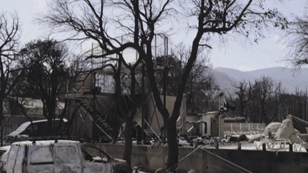 Incendie dans les Pyrénées-Orientales : l’enquête démarre pour déterminer les causes (France 3)