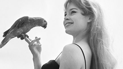 Brigitte Bardot au Festival de Cannes, 1956
 (AFP FILES / UPI-AFP ARCHIVES / AFP)