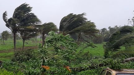 2020 a été une saison record avec 30 tempêtes tropicales dont 13 se sont transformées en ouragan (six majeurs). Ici le cyclone Ana dans les îles Fidgi, le 31 janvier 2021. (LEON LORD / AFP)