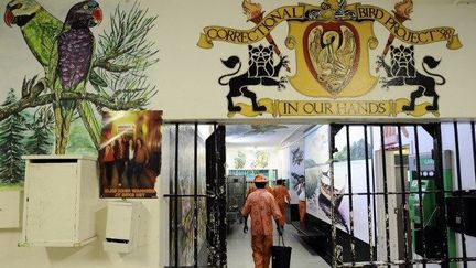 La prison de Pollsmoor au Cap en 2011 (AFP PHOTO / STEPHANE DE SAKUTIN)