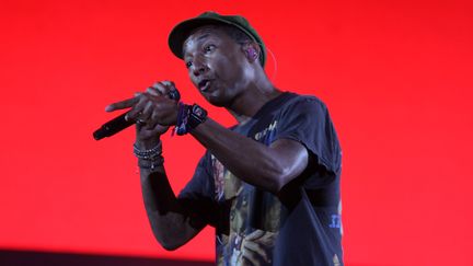 Pharrell Williams au festival Lollapalooza au Brésil, le 29 mars 2015
 (Amauri Nehn / Brazil Photo Press / AFP)