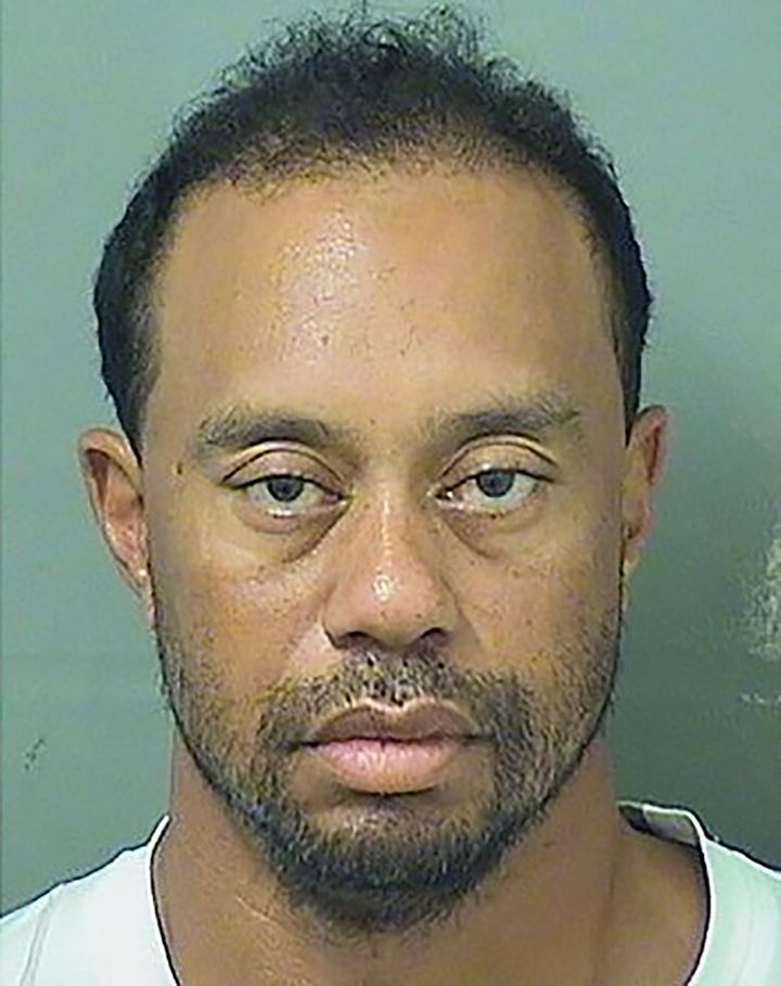 Tiger Woods, le 6 juin 2017, à Palm Beach, en Floride. (HANDOUT / PALM BEACH COUNTY SHERIFF'S OFFI)