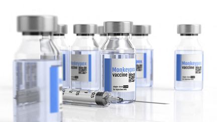 Epidémie de mpox : les autorités sanitaires françaises ne recommandent pas de vaccination aux personnes voyageant dans les pays à risque