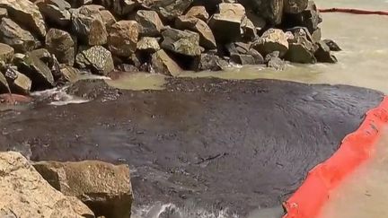 Brésil : plus d'une centaine de plages souillées par une marée noire