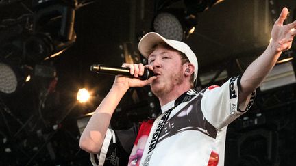 Eddy de Pretto sur la scène du festival Solidays, à Paris (22 juillet 2018)
 (AFP)