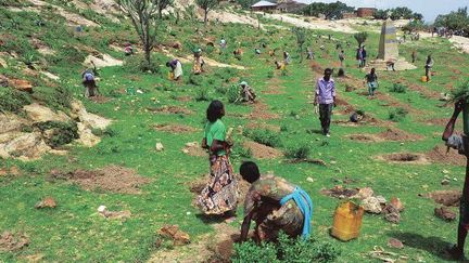 Opération de reboisement menée par l'ONG Green Ethiopia. (Green Ethiopia)