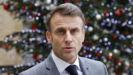 Le président Emmanuel Macron accueillet le Premier ministre slovène Robert Golob,  à l'Elysée à Paris le 13 décembre 2023. (LUDOVIC MARIN / AFP)