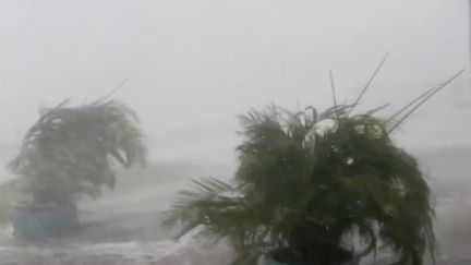 Ouragan Ian : la Floride traversée par un phénomène historique