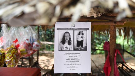 Une affiche montrant l'adolescente de 15 ans Nora Quoirin, disparue en Malaisie le 4 août et dont le corps a finalement été retrouvée le 13 août 2019. (MOHD RASFAN / AFP)