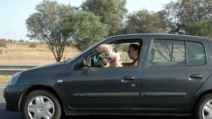 Un petit chien dans le vent a la portière d'une voiture sur l'autoroute de Rabat (Maroc) le 2 juillet 2008. (Photo d'illustration) (JOELLE VASSORT / MAXPPP)