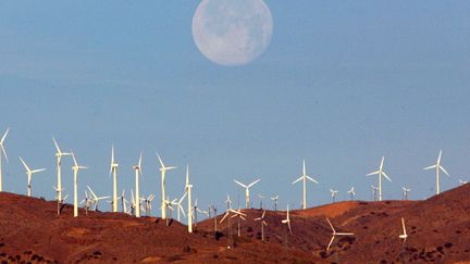 Ferme éolienne dans le désert du Mojave en Californie (Reuters/Toby melville)