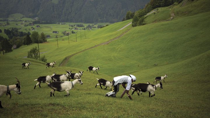 Avec ses proth&egrave;ses, Thomas Thwaites a eu quelques difficult&eacute;s &agrave; se d&eacute;placer. (TIM BOWDITCH)