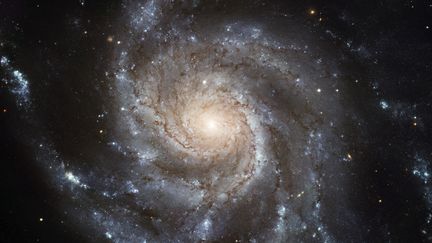 La galaxie M101, également&nbsp;connue sous le nom de galaxie du Moulinet. Cette image est composée de 51 clichés, pris entre 1994 et 2003 par Hubble. Elle a été publiée en 2006. (NASA/ESA/STSCI / STI)