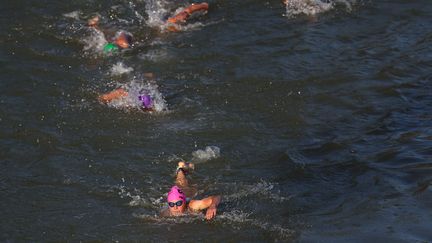 Les triathlètes du relais mixte dans la Seine,  le 5 août 2024 à Paris, lors des Jeux olympiques 2024. (FRANCK FIFE / AFP)