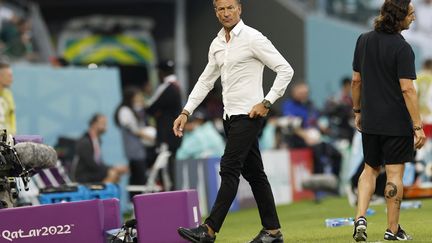 Hervé Renard lors de la Coupe du monde de football au Qatar le 26 novembre 2022. (KHALED DESOUKI / AFP)