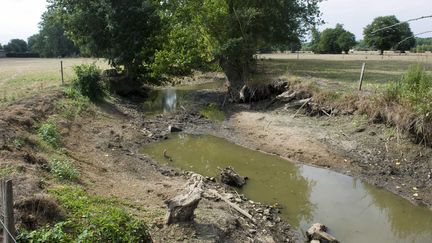 Une illustration&nbsp;de la s&eacute;cheresse dans un bras de riviere&nbsp;&agrave;&nbsp;Marthon (Charente),&nbsp;en 2011. (NOSSANT/SIPA)