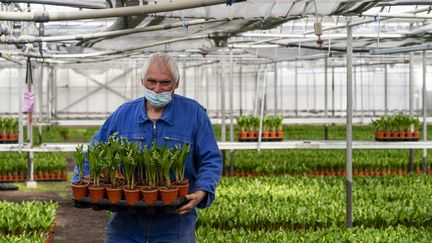 Un homme récolte du muguet, le 19 avril 2021 à&nbsp;Saint-Julien de Concelles (Loire-Atlantique). (MAXPPP)