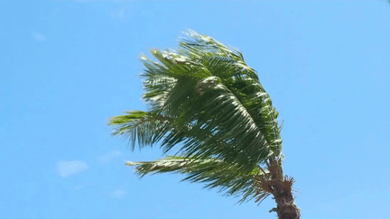 Intempéries : le cyclone Freddy menace l’île de la Réunion (France 2)