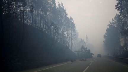 De chaque côté de la route nationale IC8, une épaisse couche de fumée blanche est suspendue au-dessus des arbres carbonisés et du sol noirci. (RAFAEL MARCHANTE / REUTERS)