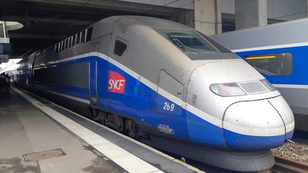 Un train TGV stationné à quai. (AURÉLIE LAGAIN / FRANCE-BLEU BREIZH IZEL)