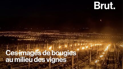 Ces photos de bougies au milieu des vignes attirent le regard. Elles ont surtout un objectif : sauver les cultures du gel. Vigneron, Charles nous explique comment...