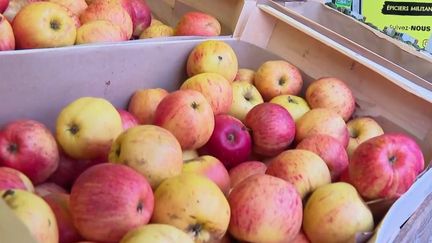 Face à la forte hausse des prix survenue au cours des derniers mois, les supermarchés proposent des promotions sur plusieurs fruits et légumes pour fidéliser les clients. Certaines enseignes se sont spécialisées dans les réductions. Le point dans le 13 Heures.&nbsp; (FRANCE 2)