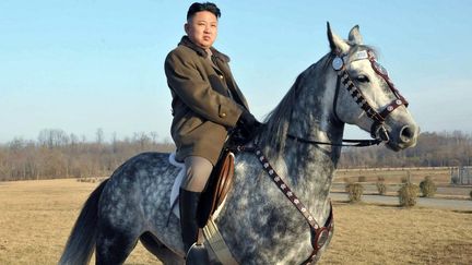 Une photo du dirigeant nord-cor&eacute;en Kim Jong-un &agrave; cheval, publi&eacute;e par l'agence nord-cor&eacute;enne KCNA, le 20 novembre 2012.&nbsp; (KNS / KCNA)