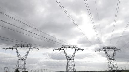 Des lignes haute tension à Villejust (Essonne), le 7 septembre 2017. (THOMAS SAMSON / AFP)