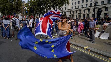 Une manifestante dans les rues de Londres, le 31 août 2019.&nbsp; (NIKLAS HALLE'N / AFP)