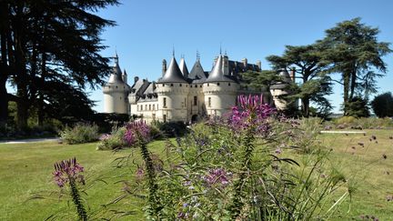 Depuis 1992, le domaine du château de Chaumont-sur-Loire accueille le festival des jardins. 
 (AFP)